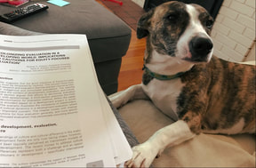 Picture of dog, Kona and evaluation article